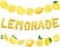 Lemon Party Decorations Lemonade Theme Party Supplies, Lemon Party Banner, Lemonade Foil and Latex Balloons